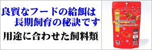 フード（人工飼料など）