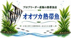 Advertisement banner for Ootsuka Tropical Fish: a pro-breeder direct-sale tropical fish shop, featuring large blue Japanese title text, lush green plants, and small colorful fish swimming above a water scene.